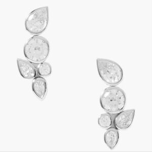 Nwt Non Tarnish Earrings Silver